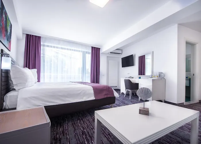 Meduza Estival Олимп