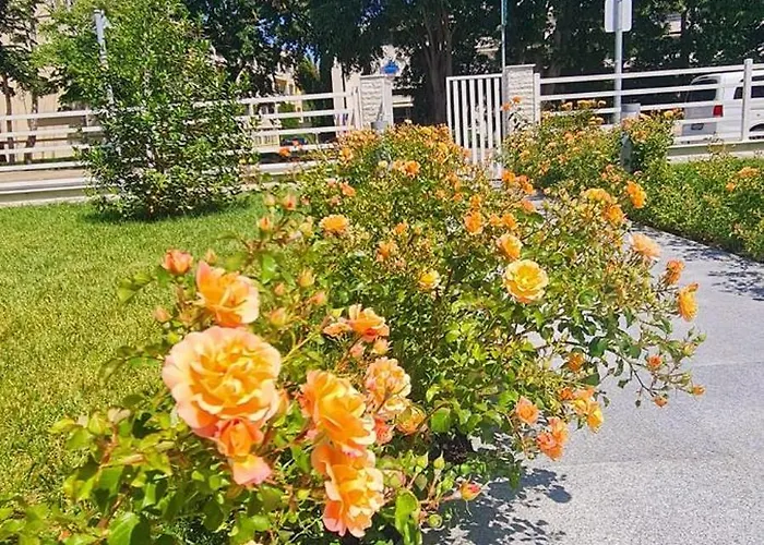 Meduza Estival 3* Олимп