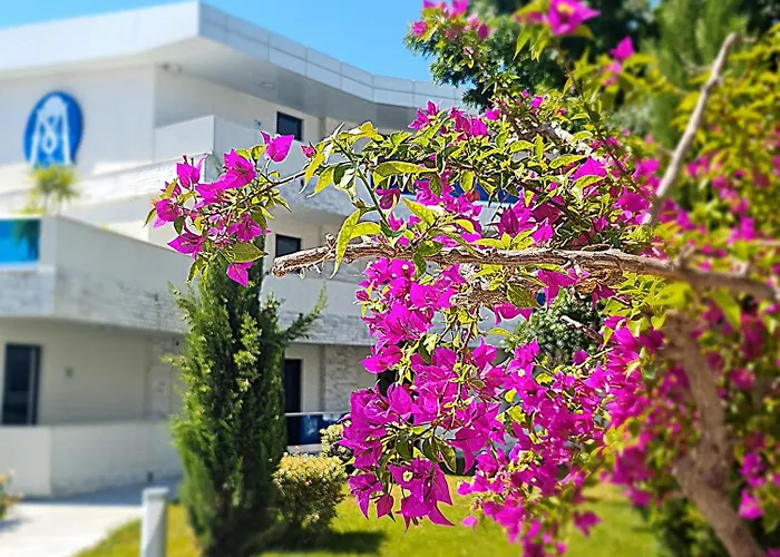 Отель Meduza Estival