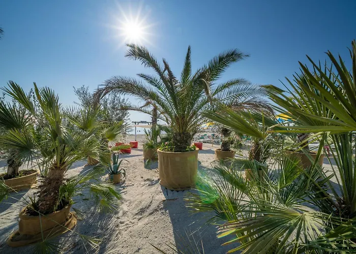 Отель Meduza Estival Олимп