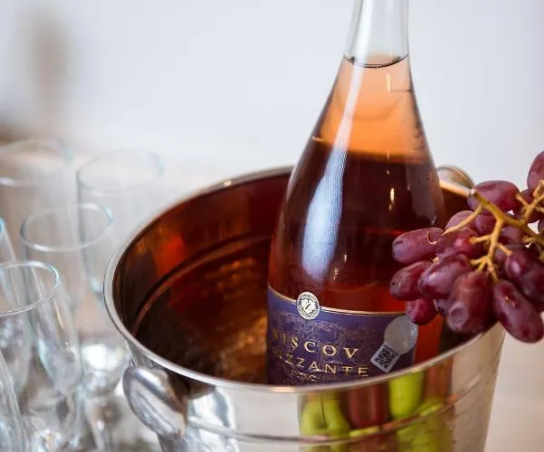 Отель Meduza Estival 3*