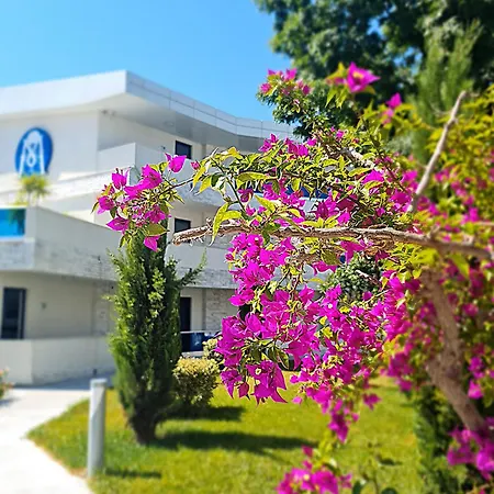 Hotel Meduza Estival