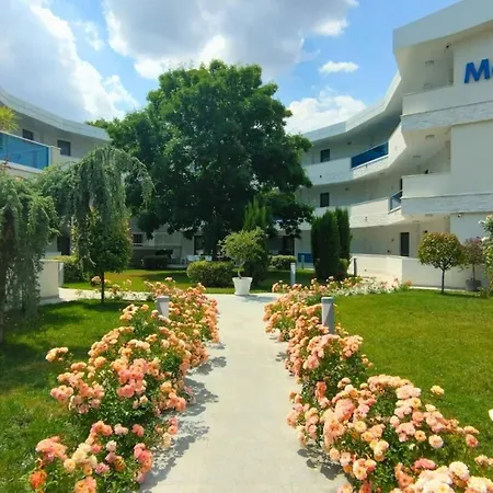 Meduza Estival Hotel