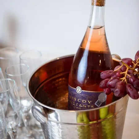 Hotel Meduza Estival 3*